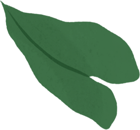 Ett tecknat MacBook Air-hölje med gröna blad som flödar ur skärmen visas i samma porträtt.