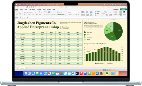 Microsoft Excel-appen vises på en MacBook Air