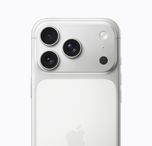 iPhone 16 Pro, White Titanium colour, back exterior