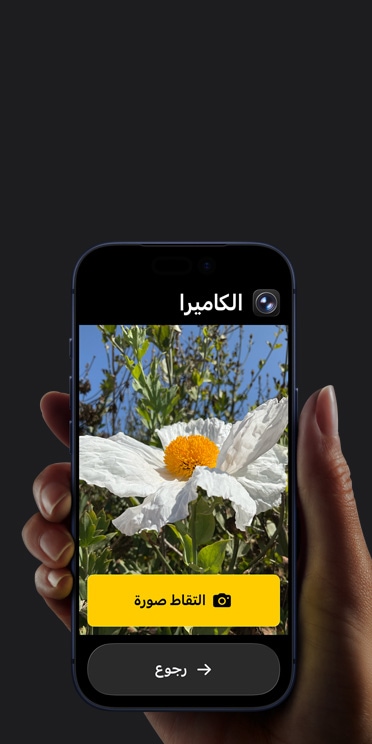 شاشة iPhone 17 Pro تعرض واجهة مبسطة لتطبيق الكاميرا مع زهرة بيضاء في الإطار، وزر