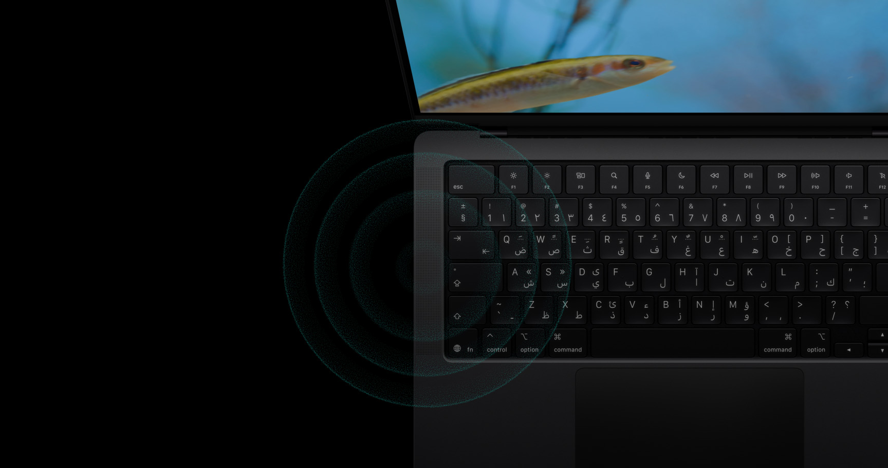 pv audio fallback alt