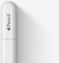 Se muestra la parte superior del Apple Pencil USB-C con un diseño redondeado, el logo de Apple y la palabra Pencil. Se muestra una línea en el extremo que representa desde dónde se desliza la tapa para permitir la conexión de un cable USB-C.