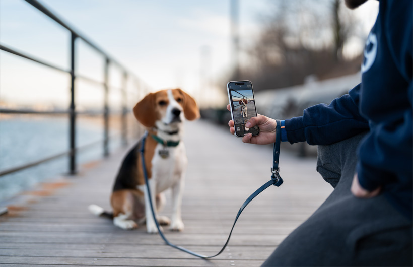 Díky špičkovému foťáku iPhonu je možné přidávat do záznamů pro majitele krásné fotky jejich mazlíčků.